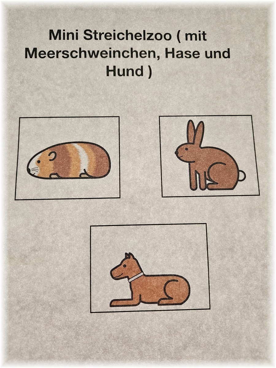 Bild 16